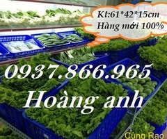 Đơn vị sanxuất sọt nhựa cao 15, sọt nhựa dùng đựng rau củ