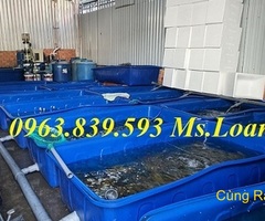 Bán thùng nuôi cá koi 1100L hình chữ nhật rẻ. Lh 0963 839 593 Ms.Loan