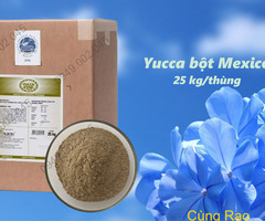 Yucca Star Powder - Yucca nguyên liệu Mexico dạng bột