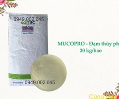 Mucopro Powder - Tăng trọng dạng bột cho tôm cá