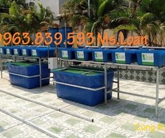Thùng chữ nhật, khay nhựa trồng rau, khay linh kiện rẻ / 0963.839.593 Ms.Loan