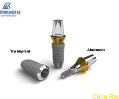 Cấu tạo răng Implant và các loại trụ Implant phổ biến hiện nay