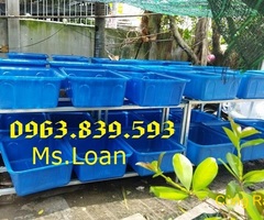 Thùng nhựa chữ nhật 200L 300L 500L 1000L, thùng nuôi cá bằng nhựa rẻ / 0963.839.593