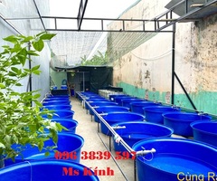Cung cấp thùng nhựa tròn, bồn nhựa nuôi cá, làm bể bơi, trồng cây - 096 3839 597 Ms Kính