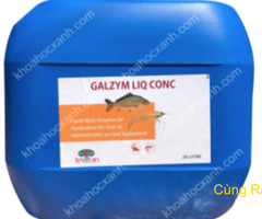 GALZYM LIQ CONC – Enzyme tiêu hóa dạng nước