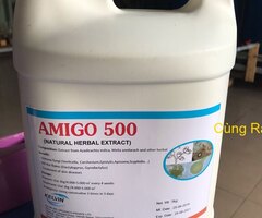 AMIGO 500