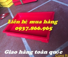 Khay nhựa hình chữ nhật, thùng nhựa, hộp nhựa