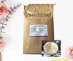 YEAST CELL WALL – Betaglucan TQ tăng cường miễn dịch tôm cá