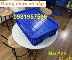 Thùng nhựa đặc có nắp, thùng nhựa công nghiệp có nắp, thùng nhựa có nắp