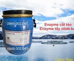 Superzyme - Enzyme cắt tảo, xử lý nước ao nuôi