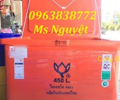 Thùng đá giữ nhiệt Thái Lan 450L