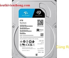 Giải Pháp Lưu Trữ Hiệu Quả với Ổ Cứng SEAGATE SKYHAWK 6TB