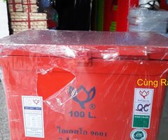 Thùng đá Thái Lan 100L hiệu Hoa Sen