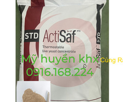 ACTISAF – Men vi sinh đường ruột Saccharomyces đậm đặc