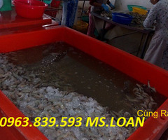 Thùng đá hoa sen 800L nhập khẩu chính hãng Thailand. 0963.839.593 Ms.Loan