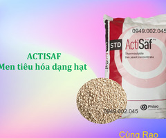 ACTISAF - Men đường ruột dạng hạt, nguyên liệu Pháp