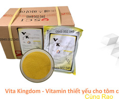 VITA KINGDOM - Vitamin tổng hợp Hàn Quốc